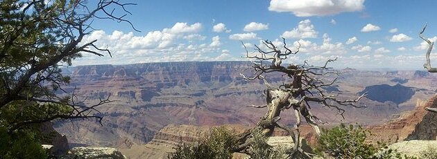 English language schools in Phoenix, Arizona