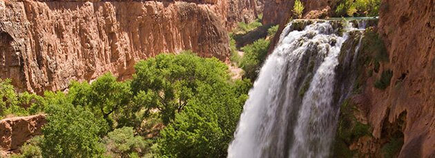 English language school in Phoenix, Arizona